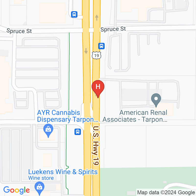 Tarpon Springs Dialysis Center Llc - 41747 US Highway 19 N