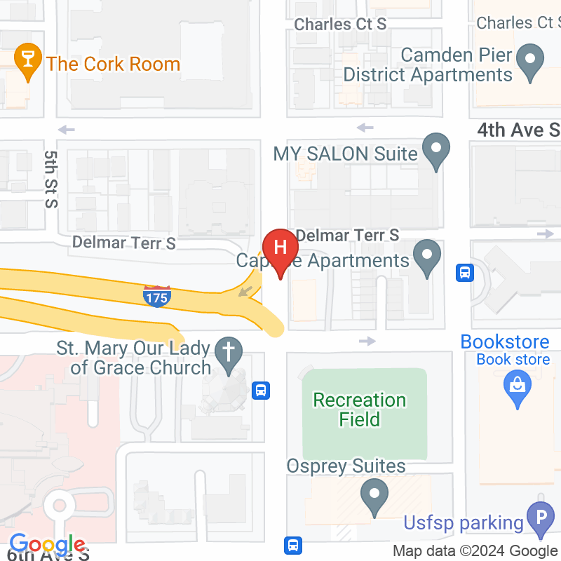 Fresenius Kidney Care St Petersburg - 446 4th St S