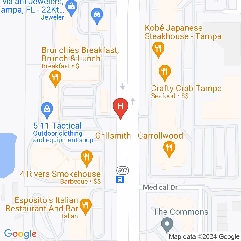 Carrollwood Dialysis - 14358 N Dale Mabry Hwy