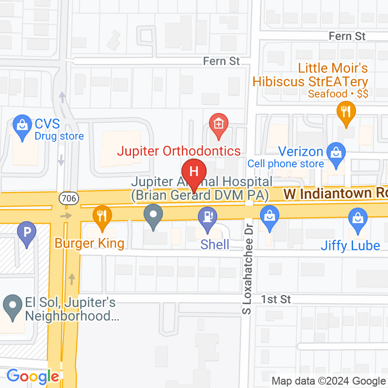 Disctrict Clinics Holding Inc - 411 W Indiantown Rd