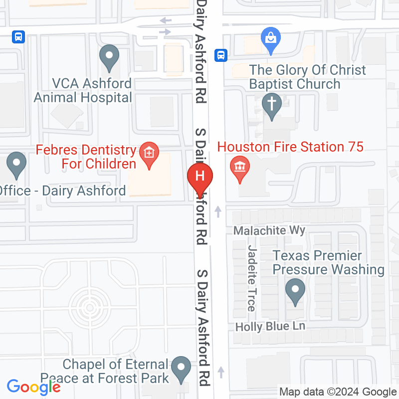 Edicare Professional Healthcare Services Inc - 2000 S Dairy Ashford Rd Ste 305