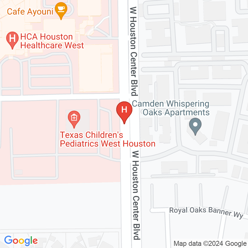 Brookdale Home Health Houston - 12606 West Houston Center Blvd Ste 300