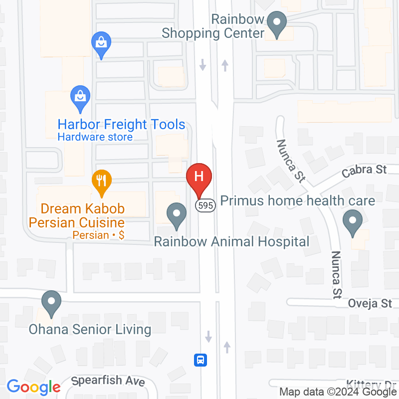 Eagle Home Health Agency, Inc - 222 S Rainbow Blvd Ste 202
