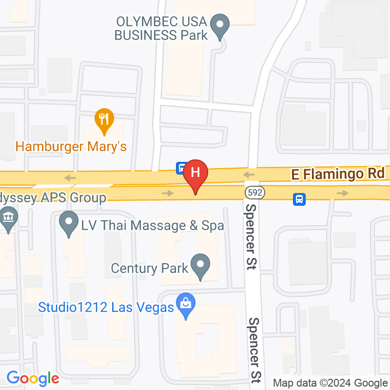 Executive Care Home Health - 1771 E Flamingo Rd Ste 119B