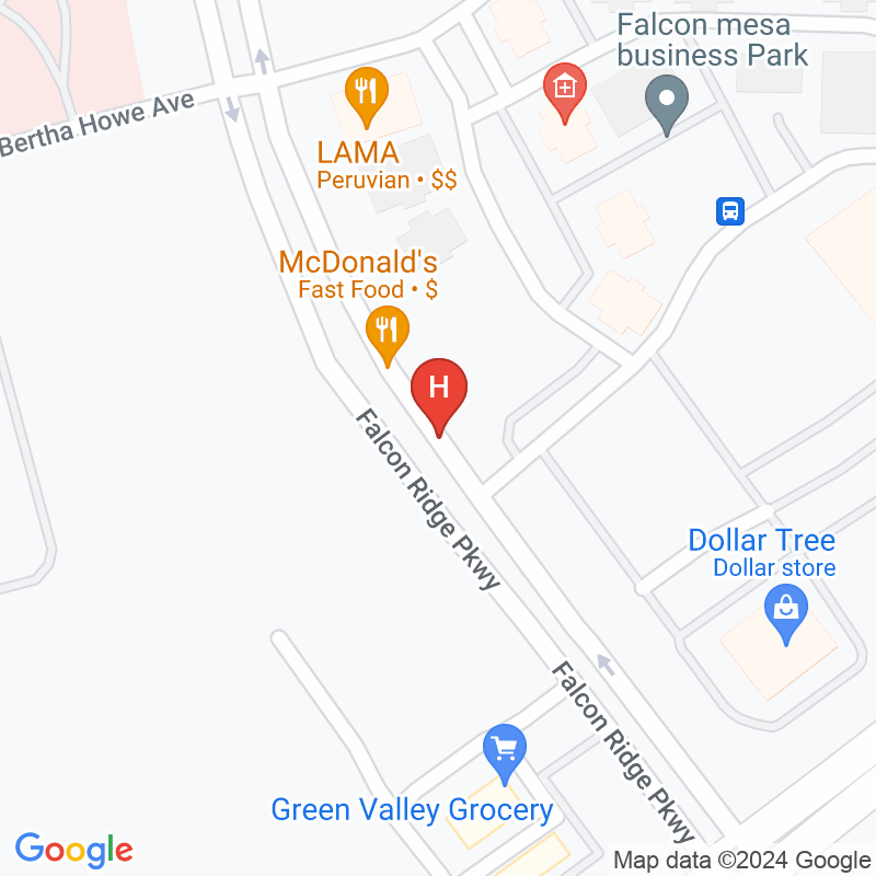 Mesa View Home Care Llc - 330  Falcon Ridge Pkwy  STE 200
