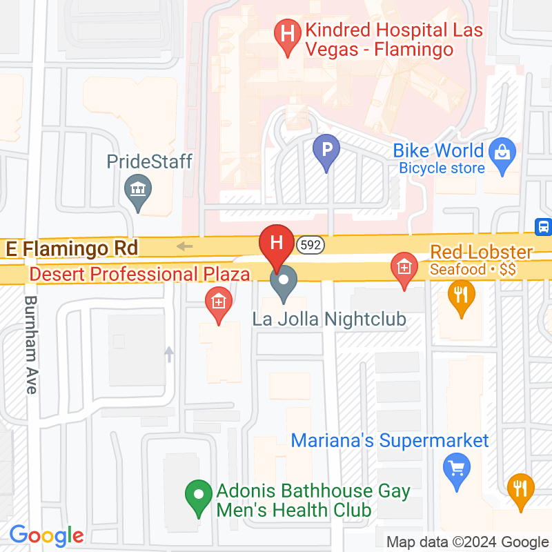Good Shepherd Rehab Centers of Las Vegas - 2235 E Flamingo Rd Ste 170