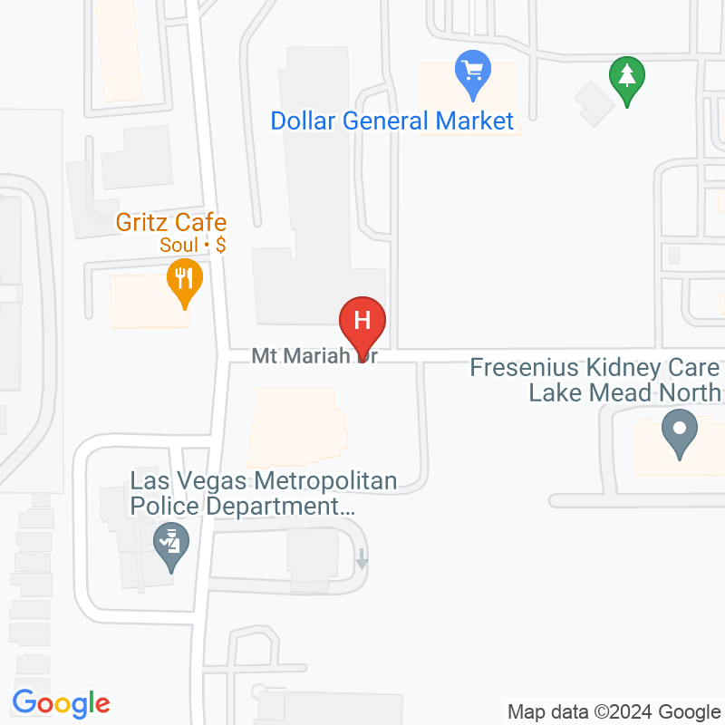 Nevada Children†S Health Project - 1799 Mount Mariah Dr