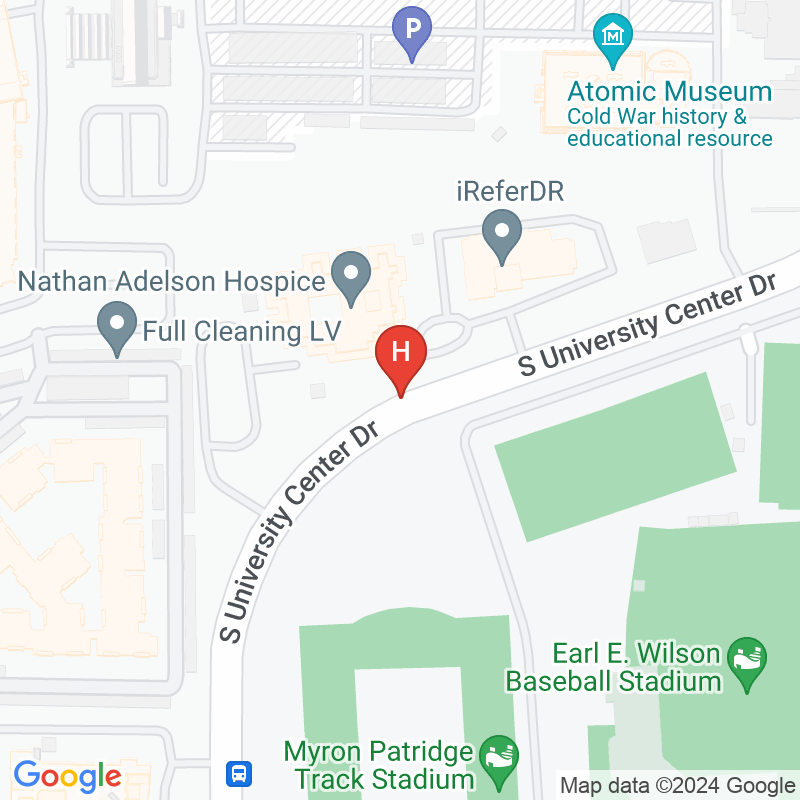 Nathan Adelson Hospice - 4141 Swenson St