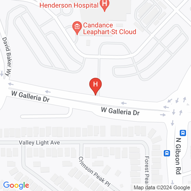 Henderson Hospital - 1050 W Galleria Dr