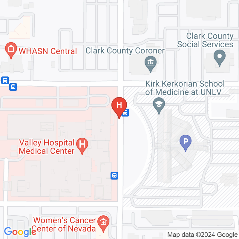 Valley Hospital Medical Center - 620 Shadow Ln
