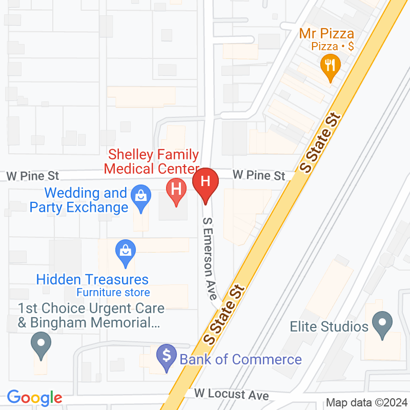 Shelley Family Medical Center - 210 S Emerson Ave
