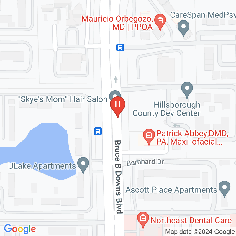 Hillsborough County Developmental Center - 14219 Bruce B Downs Blvd