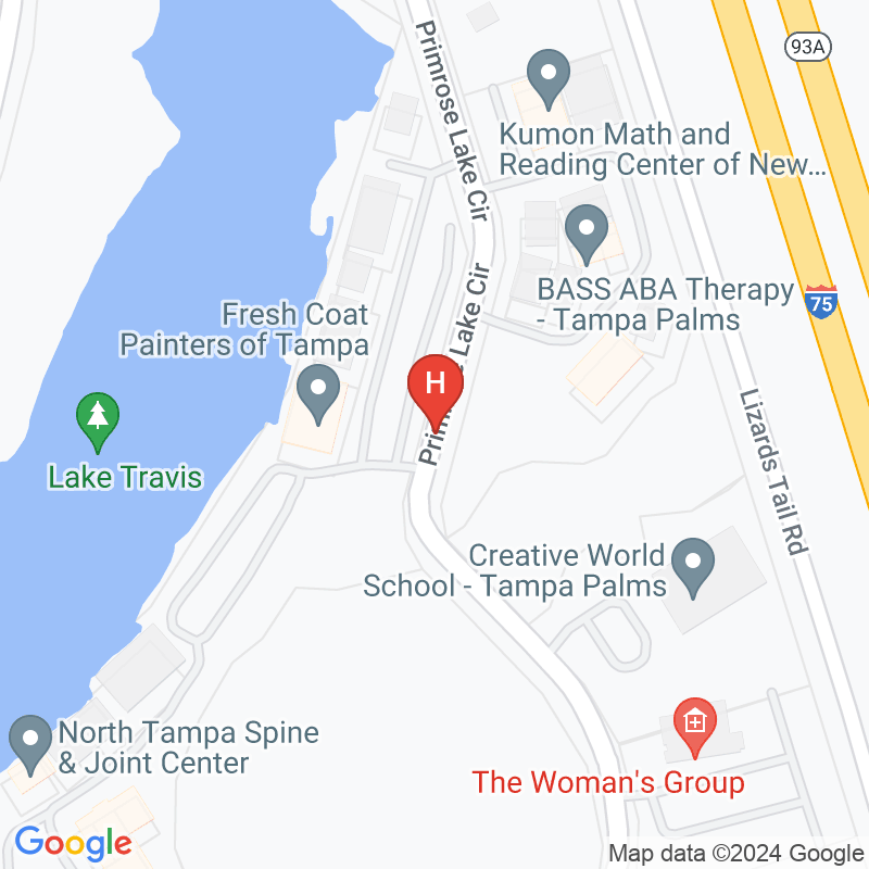 Tampa Minimally Invasive Spine Surgery Center - 5329 Primrose Lake Cir