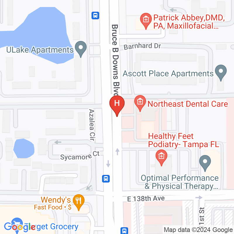 Tampa Bay Hand Surgery Center - 13905 Bruce B Downs Blvd Ste B