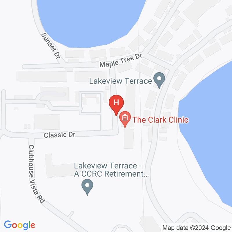 Lakeview Terrace Home Health Services Llc - 110 Lodge Terrace Dr