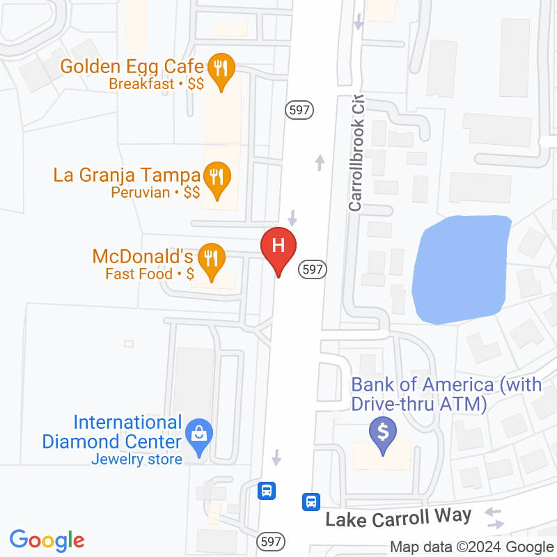 Achieve Home Care Llc - 10502 N Dale Mabry Hwy