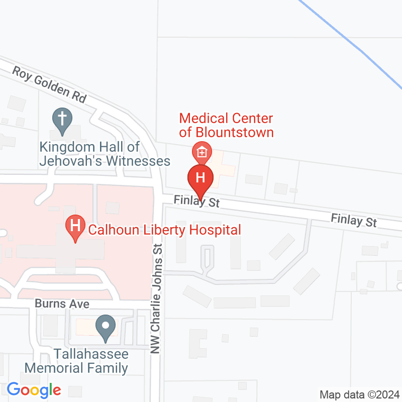 The Medical Center at Blountstown - 20454 NE Finley Ave