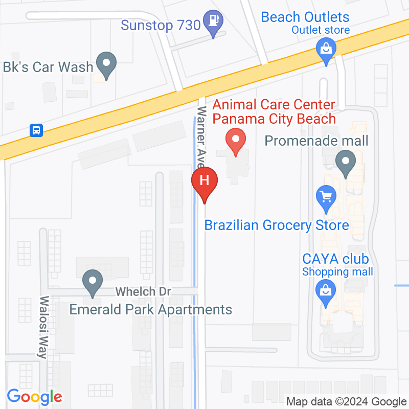 Tender Touch Health Care Services - 8317 Front Beach Rd Ste 37A