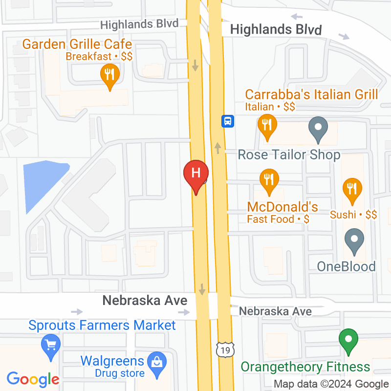 Comprehensive Home Care of Pinellas Pasco Llc - 33920 US Highway 19 N Ste 341
