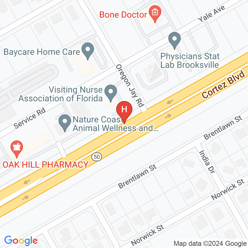 Visiting Nurse Association of Florida Inc - 10177 Cortez Blvd
