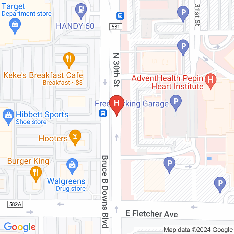 Adventhealth Home Care West Florida - 13601 Bruce B Downs Blvd Ste 110