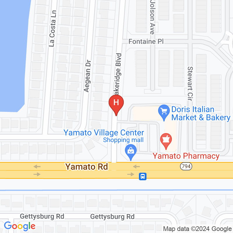 Yamato Orthopedic and Spinal R - 9101 Lakeridge Blvd