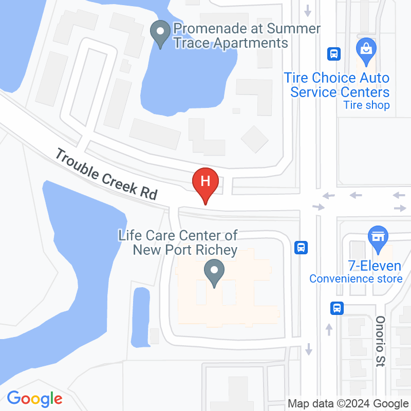 Life Care Center of New Port Richey - 7400 Trouble Creek Rd