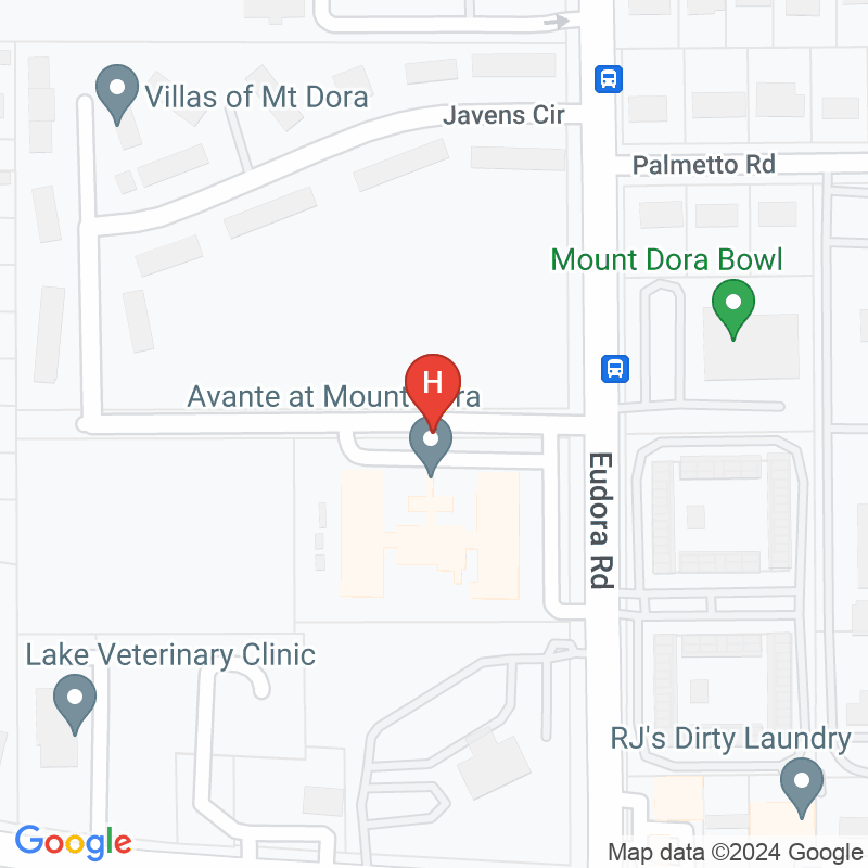 Avante at MT Dora, Inc - 3050 Brown Ave