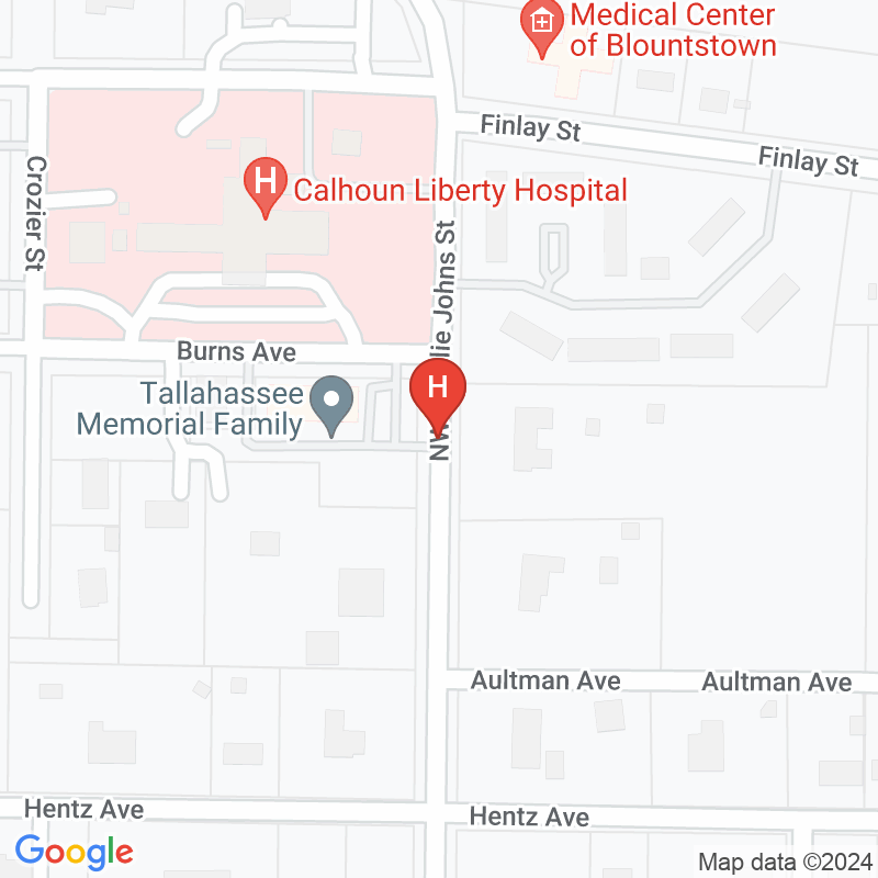 Tmh Physician Partners Blountstown - 17808 NE Charlie Johns St