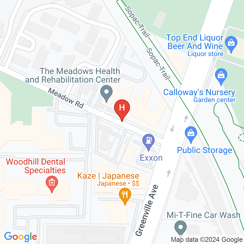 The Meadows Health and Rehabilitation Center - 8383 Meadow Rd