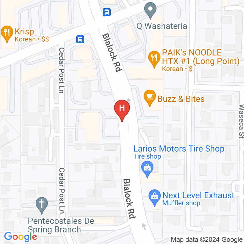 Spring Branch Dialysis - 1425 Blalock Rd Ste 100