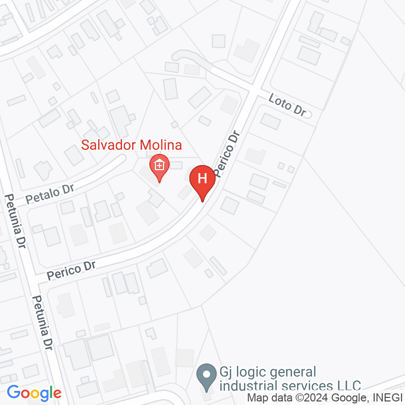 Centro San Vicente - 13017 Perico Dr