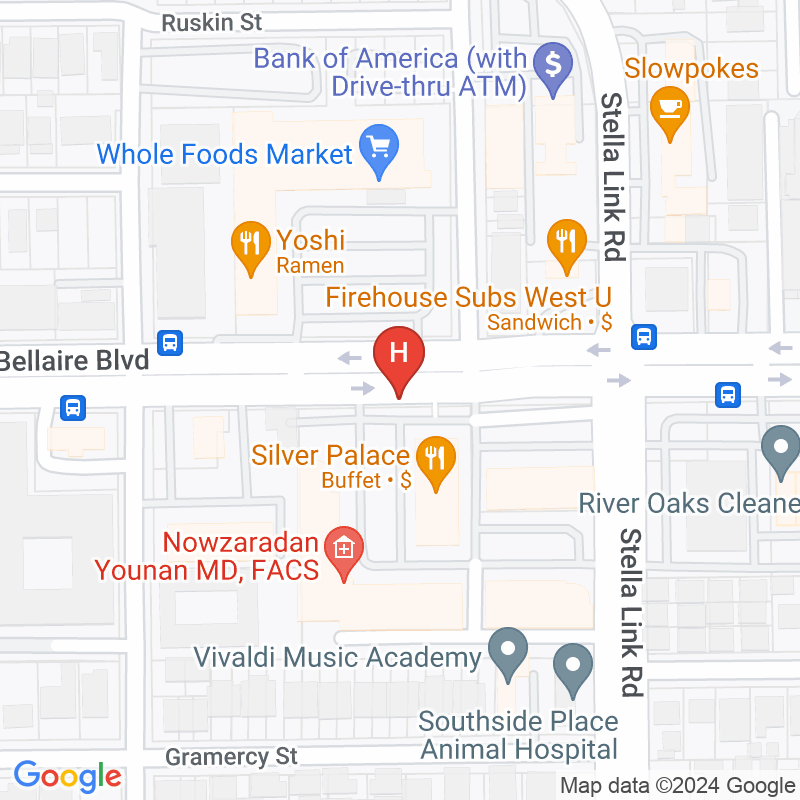Action Physical Therapy - 4009 Bellaire Blvd Ste M