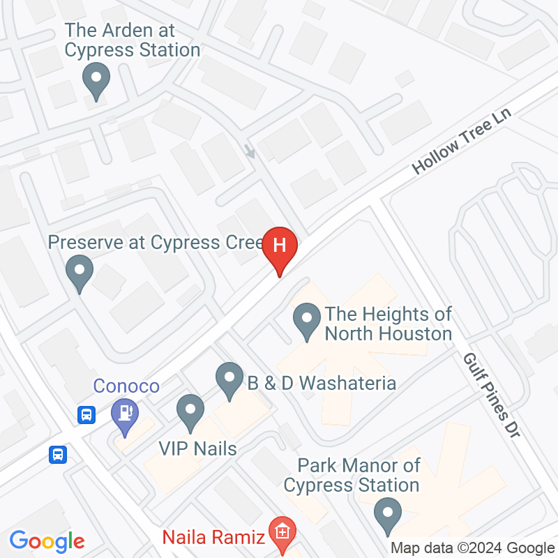 The Heights of North Houston - 303 Hollow Tree Ln
