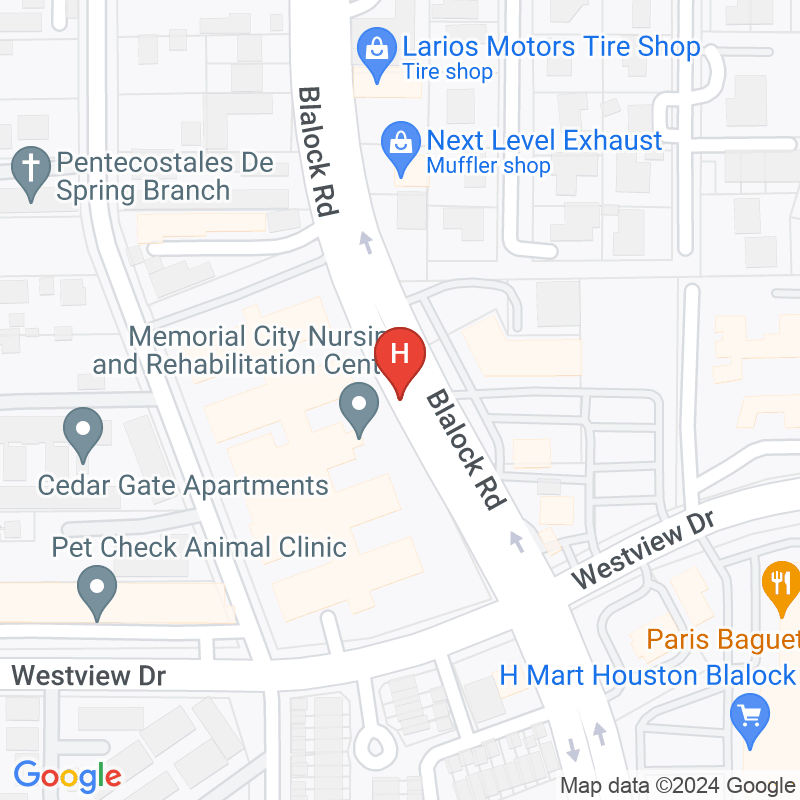 Memorial City Health and Rehabilitation Center - 1341 Blalock Rd