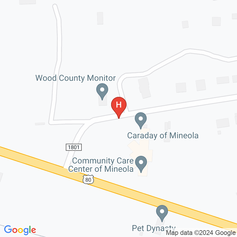 Mineola Healthcare Residence - 716 Mimosa Dr