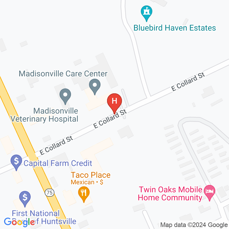 Madisonville Care Center - 411 E Collard St