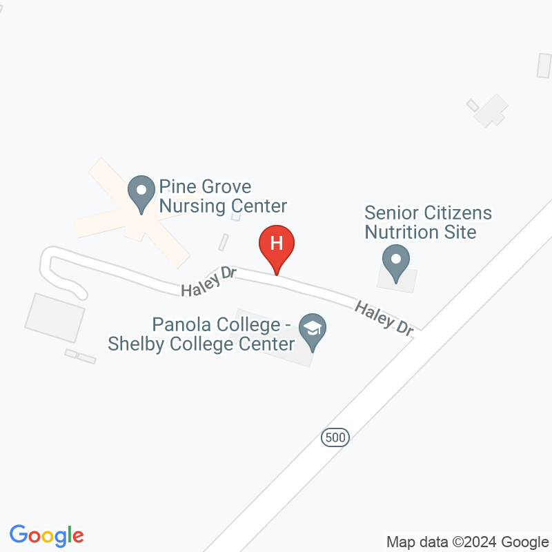 Pine Grove Nursing Center - 246 Haley Dr