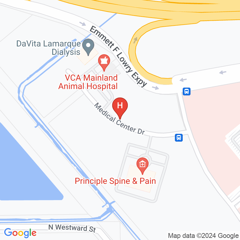 Lamarque Dialysis - 7310 Medical Center Dr