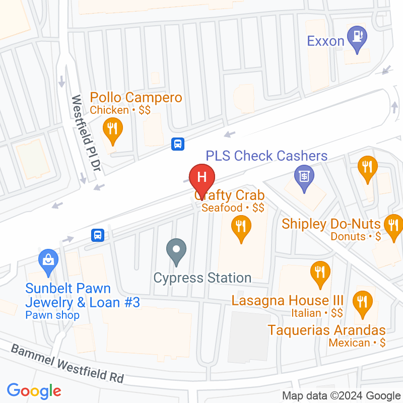 Fresenius Kidney Care Northside Dialysis - 235 Cypress Creek Pkwy Ste 235C