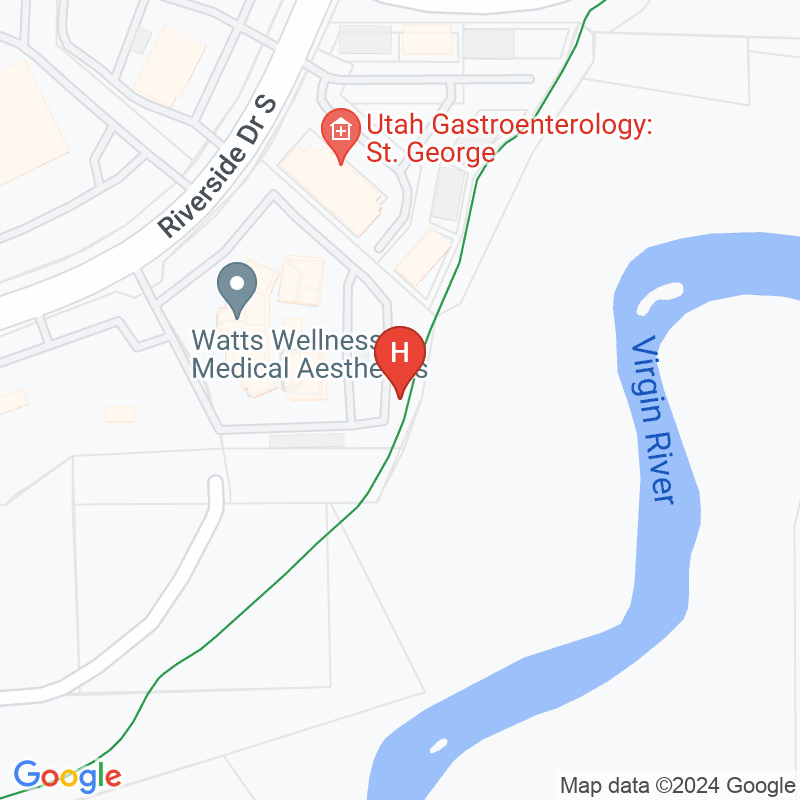 Dixie Hospice Care - 352 E Riverside Dr Ste B3