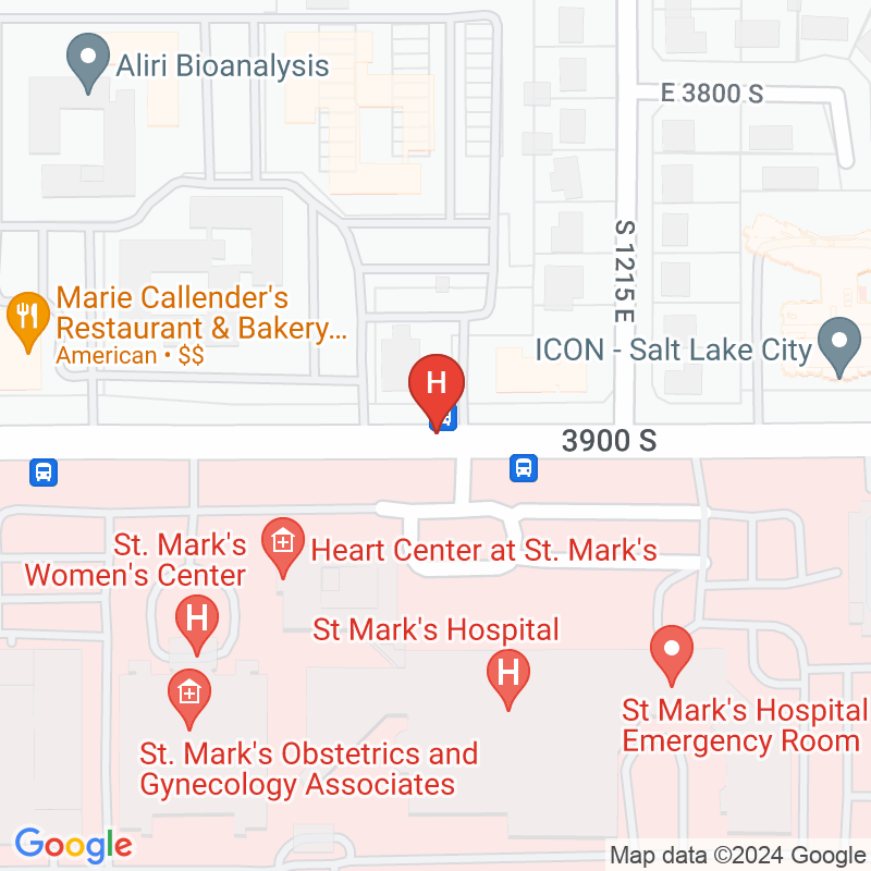 Mountain Land Rehab Agency - 1153 E 3900 S