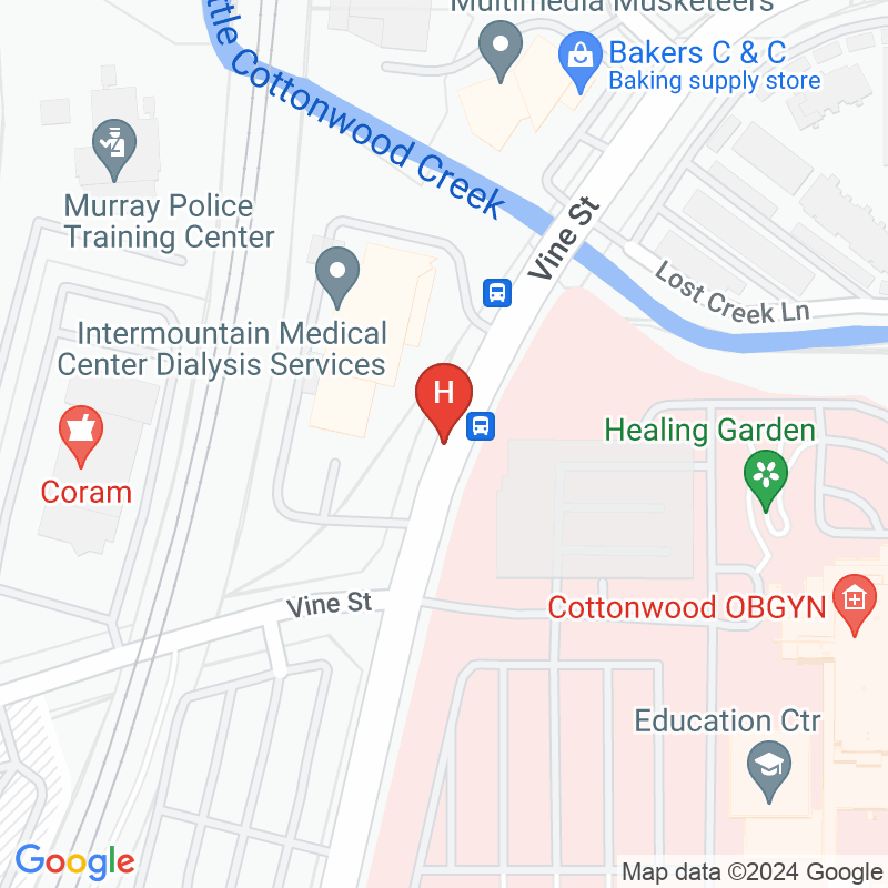 Intermountain Medical Center Dialysis Services - 74 W Vine St