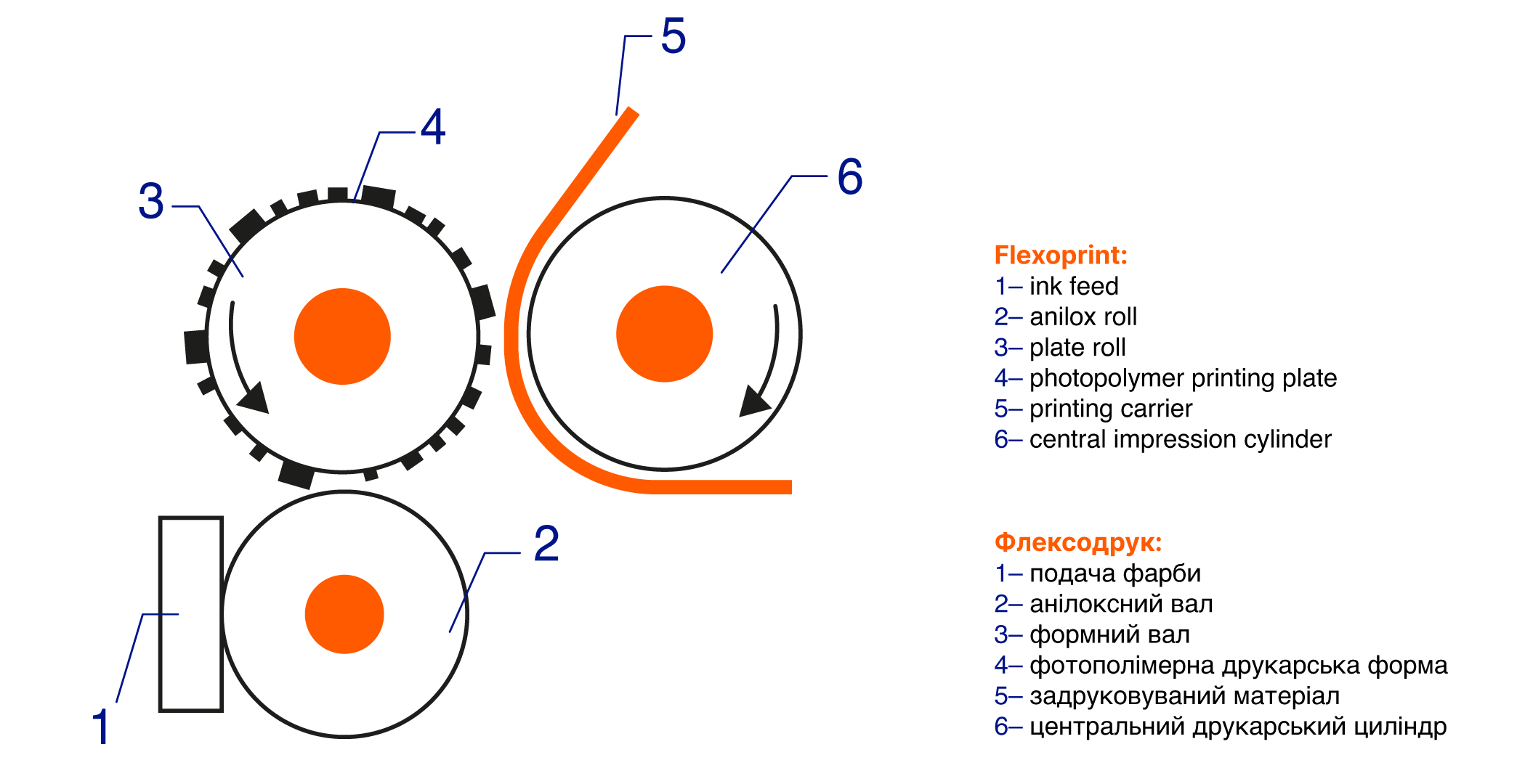 Флексодрук