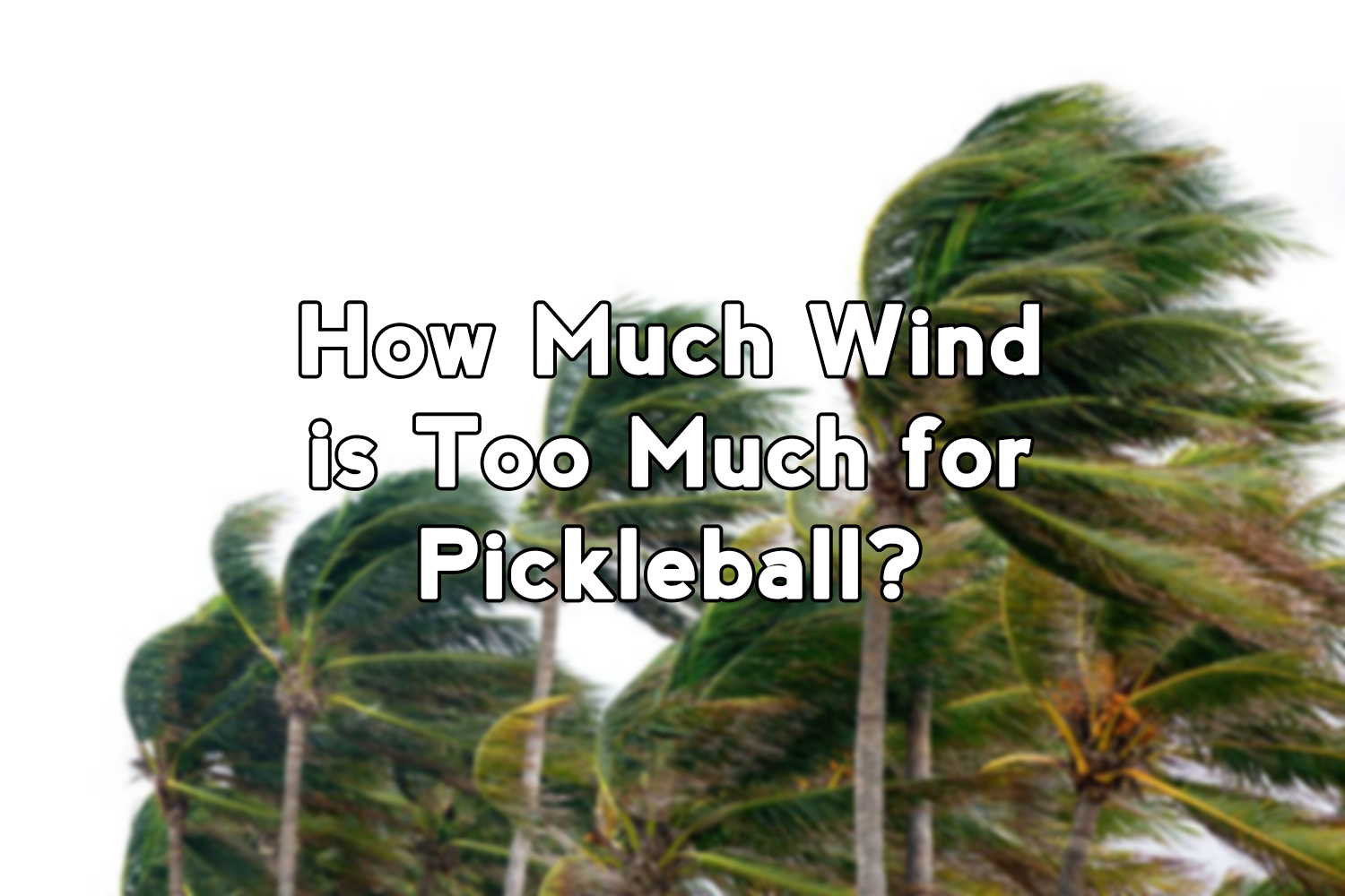 How Much Wind is Too Much for Pickleball? Tips for Playing in Windy