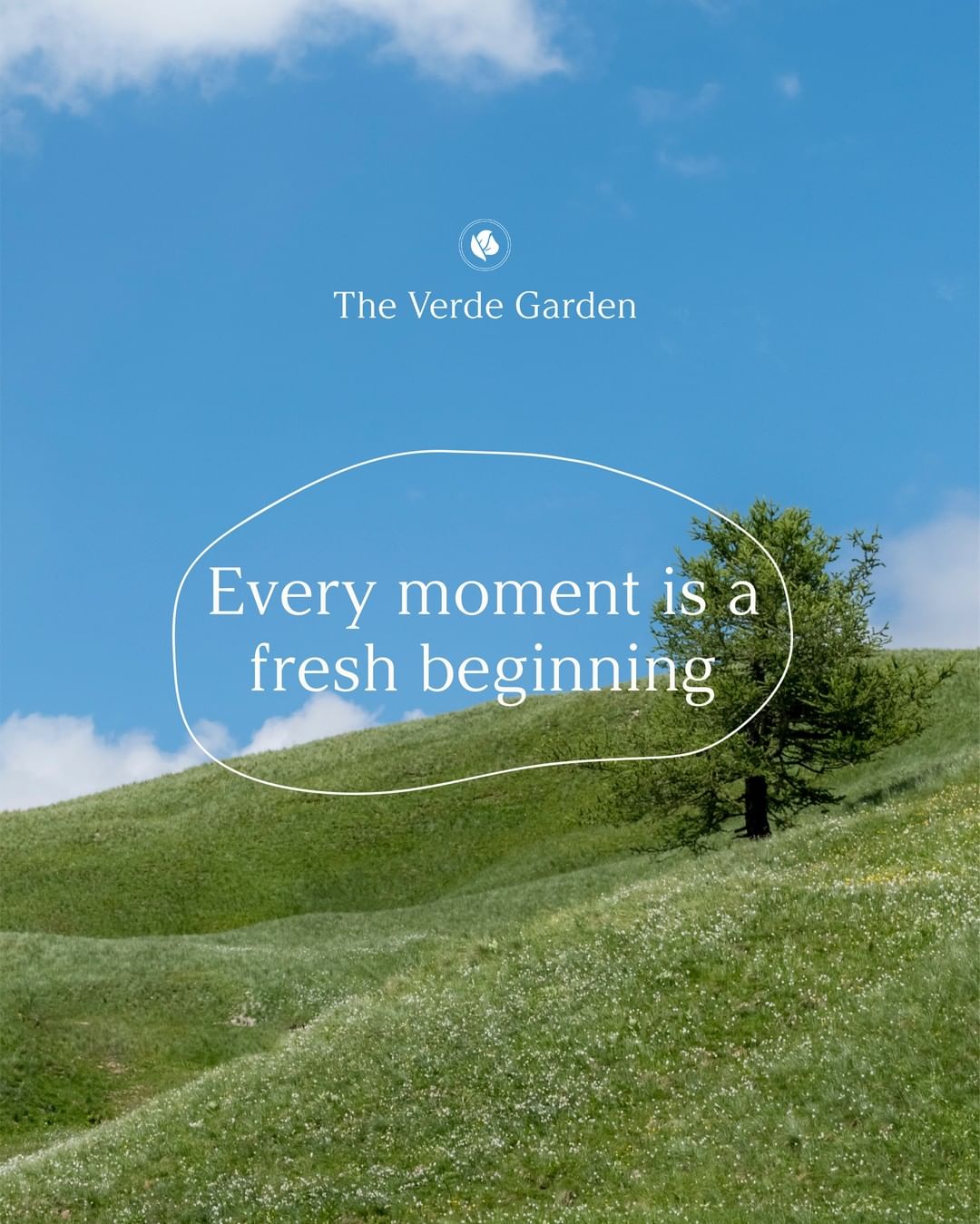 The Verde Garden - Case Study