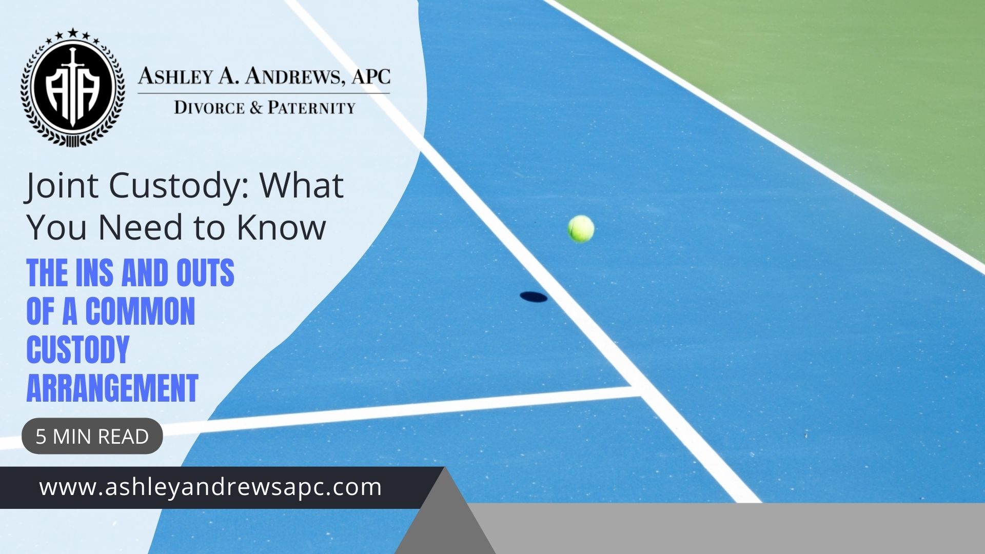 Joint Custody What You Need to Know The Ins and Outs of a Common