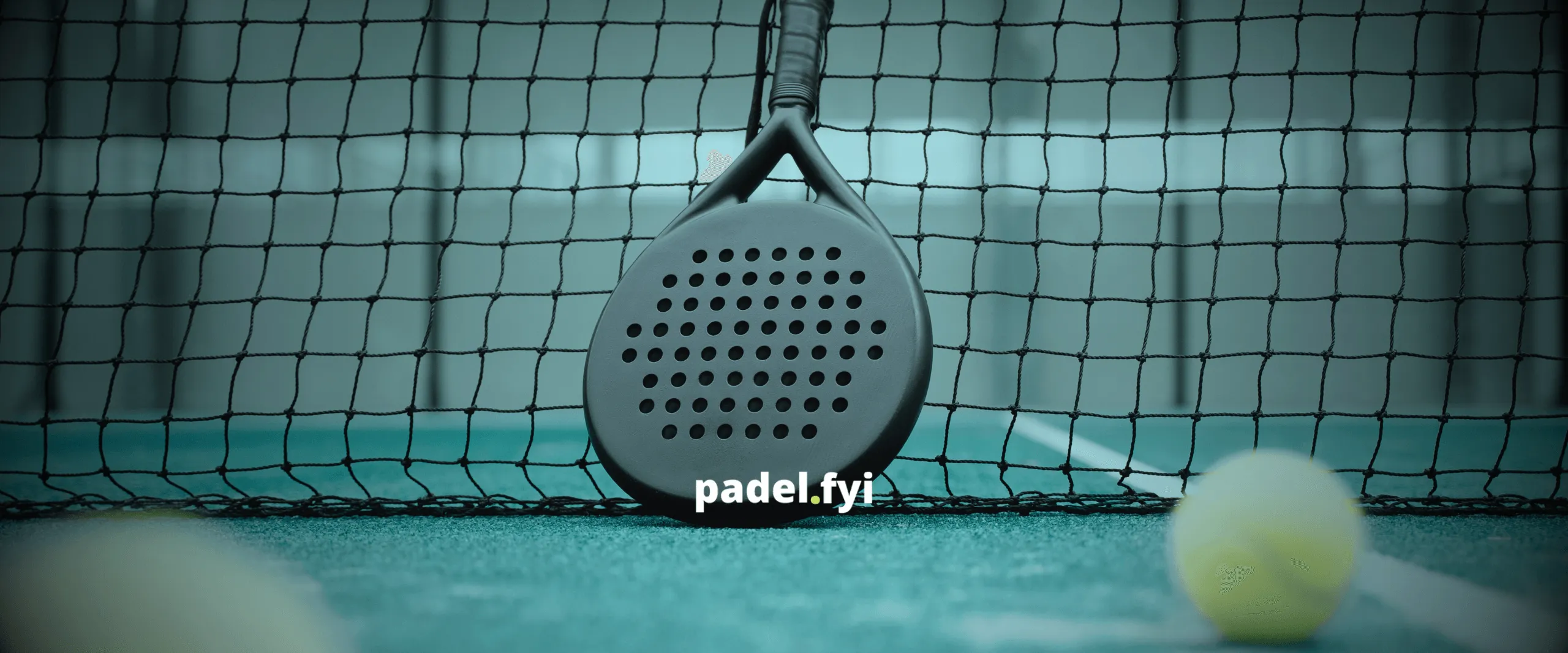 Best Beginner Padel Rackets According to Reddit Upvotes