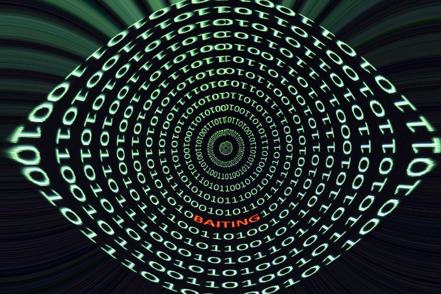 ما هو نوع الهندسة الاجتماعية التي تستهدف كبار المسؤولين؟