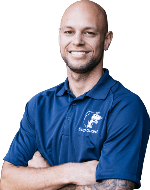 Dog Guard OutofSight Dog Fencing Electronic Dog Fences